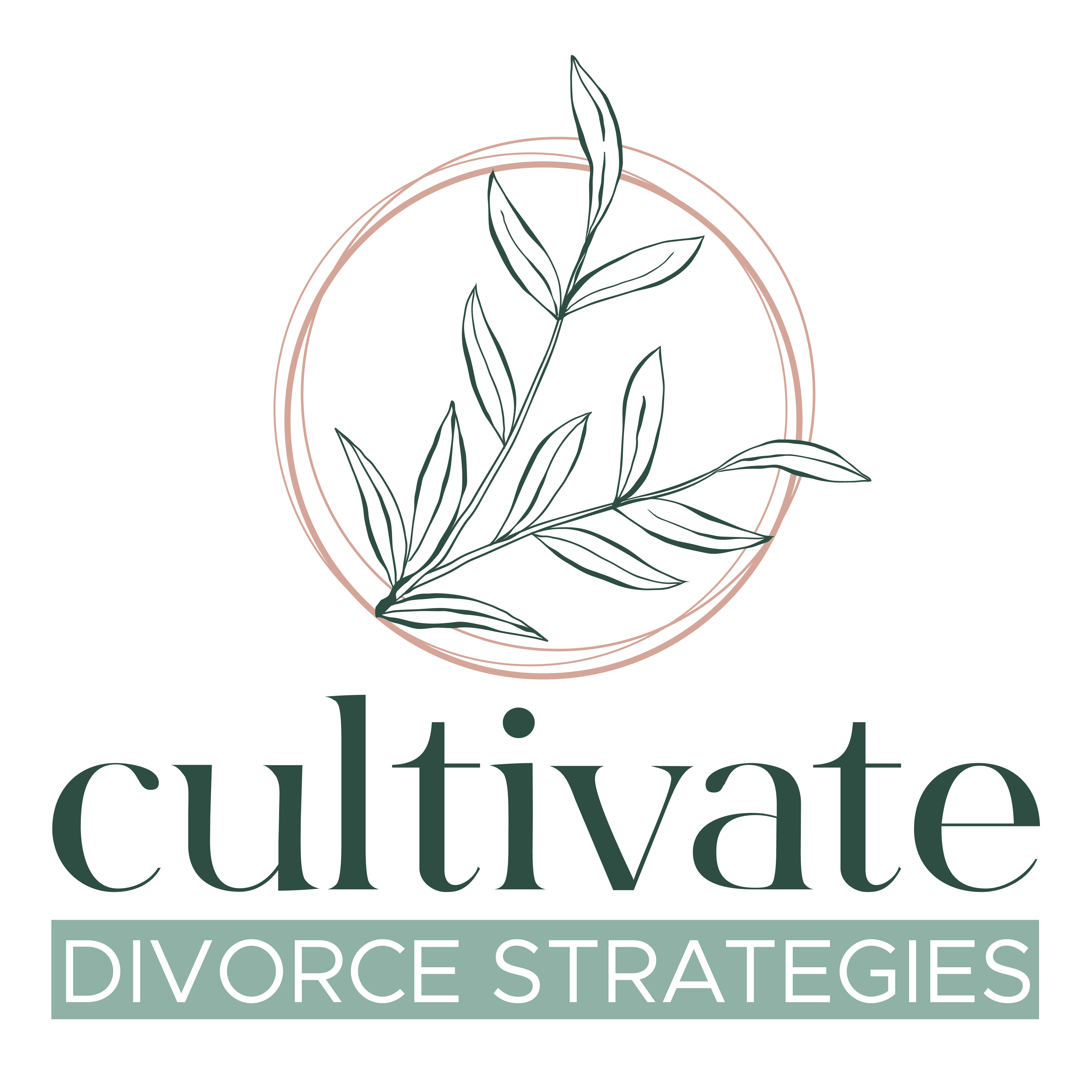 Cultivate Divorce Strategies